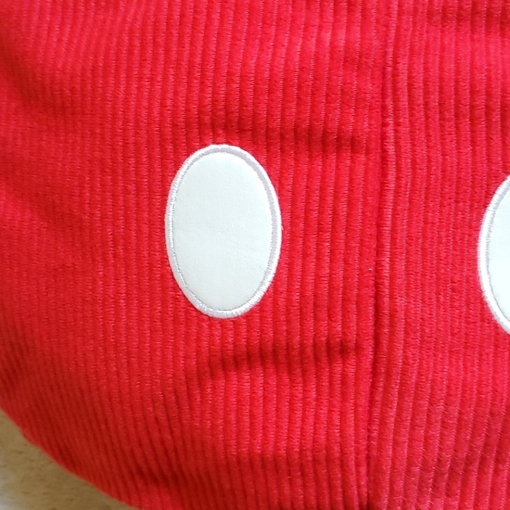 Disney Baby Ladybug Halloween costume 3-6 months - Picture 3 of 7